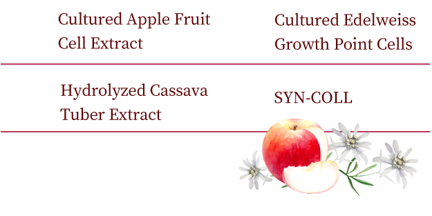 1. Cultured Apple Fruit Cell Extract　2. Cultured Edelweiss Growth Point Cells　3. Hydrolyzed Cassava Tuber Extract　4. SYN-COLL