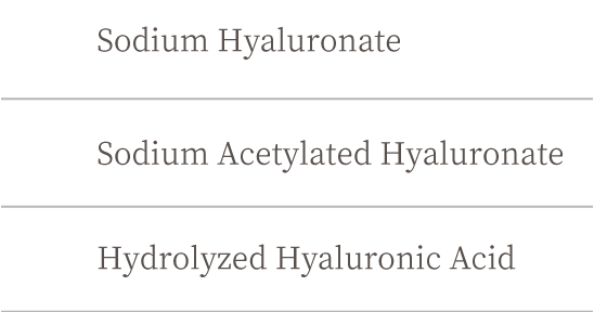 1. Sodium Hyaluronate　2. Sodium Acetylated Hyaluronate  3. Hydrolyzed Hyaluronic Acid