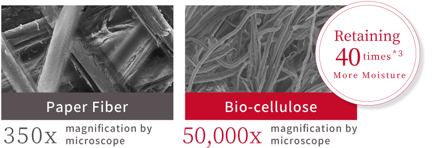 紙繊維 バイオセルロース 水分保持力40倍※3
