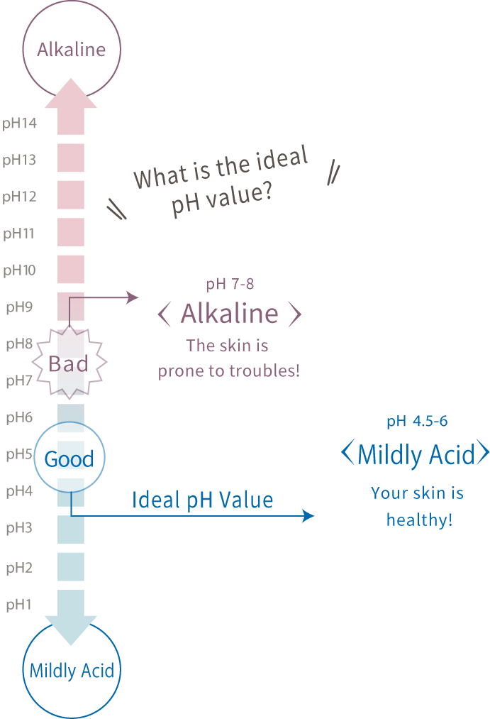 What is the ideal pH value? Bad　pH 7 - 8　Alkaline / Good Ideal pH Value pH 4.5 - 6 Mildly Acid Your skin is healthy!