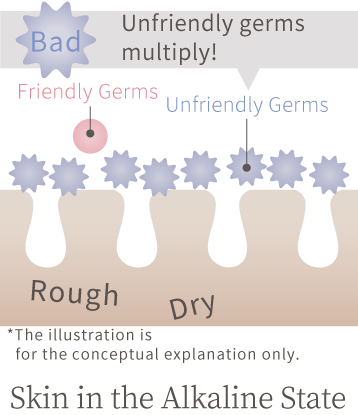 Unfriendly germs multiply! Friendly Germs Unfriendly Germs　Rough Dry Skin in the Alkaline State *The illustration is for the conceptual explanation only.