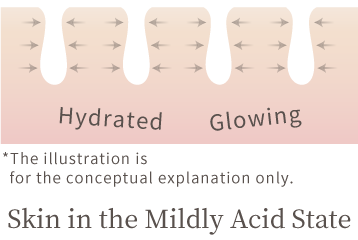 Hydrated Glowing *The illustration is for the conceptual explanation only.