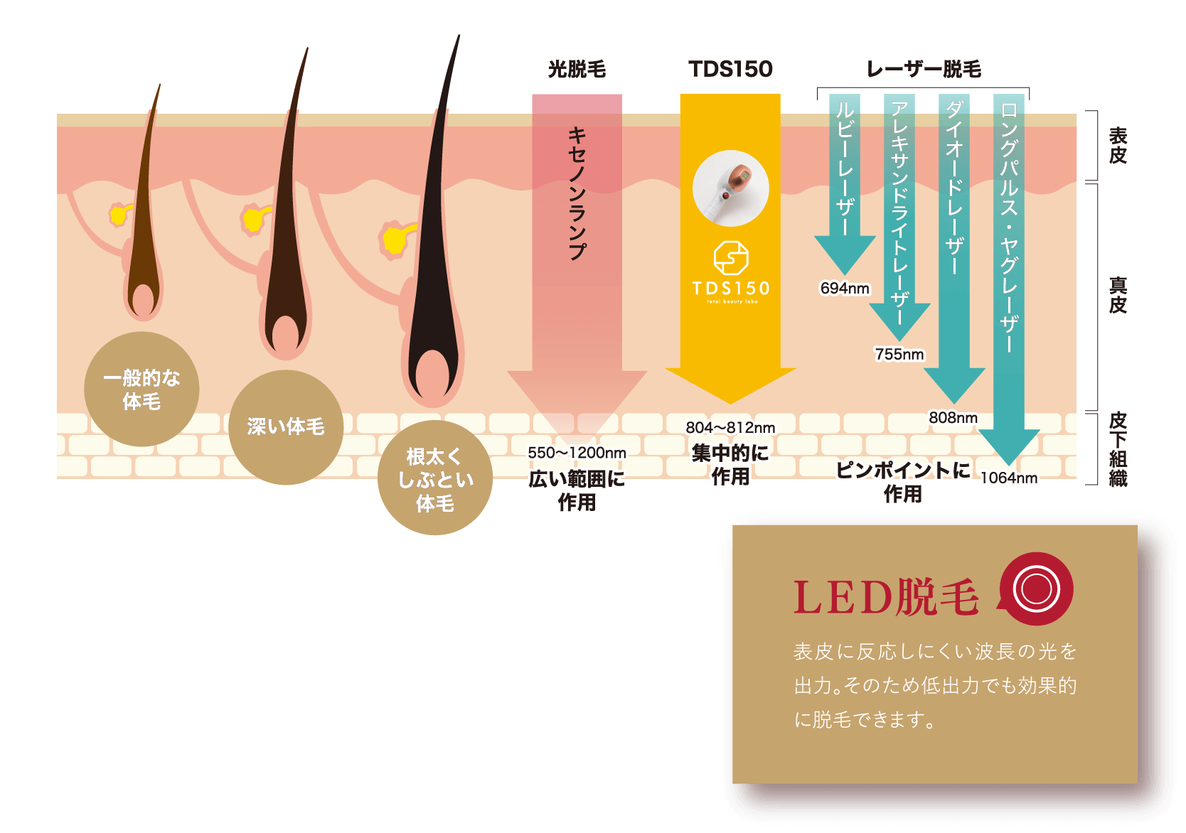 他の脱毛機とLED脱毛の違い 独自の波長と発光時間をコントロールすることで痛みの少ない効果的な脱毛を実現。
