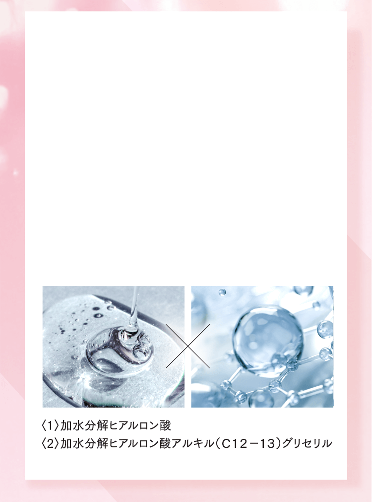 〈1〉加水分解ヒアルロン酸 〈2〉加水分解ヒアルロン酸アルキル(C12-13)グリセリル
