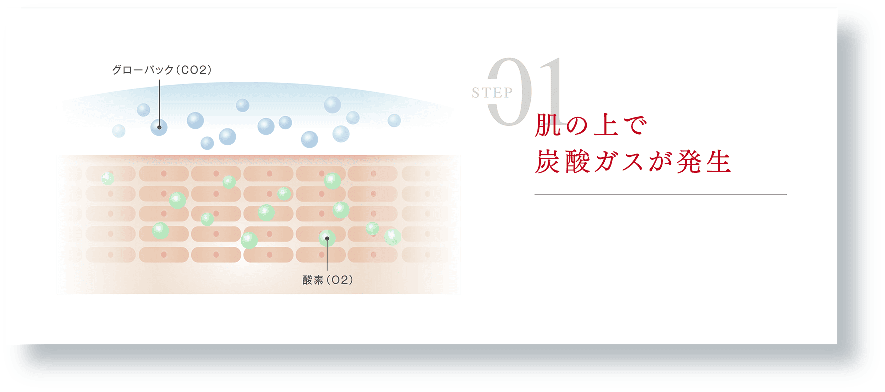 Step 01 肌の上で炭酸ガスが発生