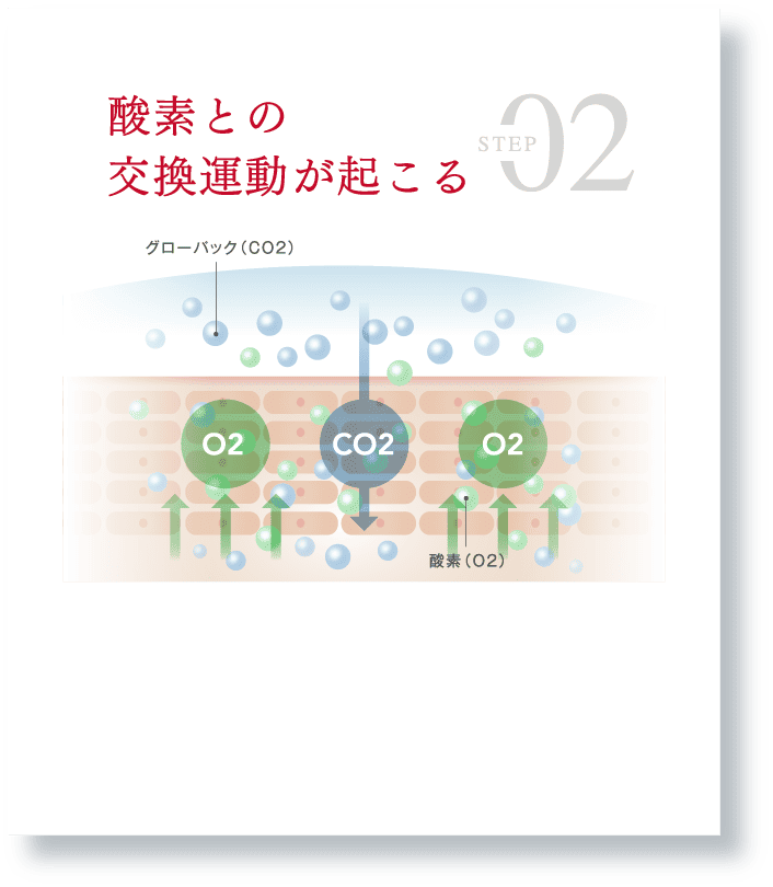 Step 02 酸素との交換運動が起こる