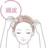 頭皮