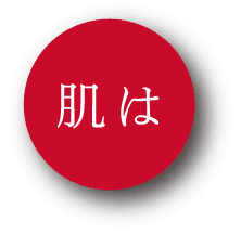 肌は