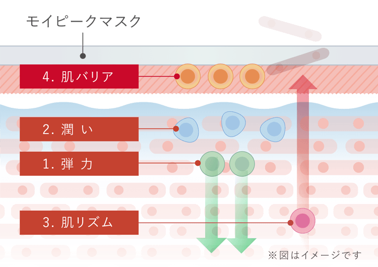 モイピークマスク 4.バリア力肌整菌 2.潤い肌整菌 1.弾力肌整菌 3.ターンオーバー力肌整菌 皮脂膜
