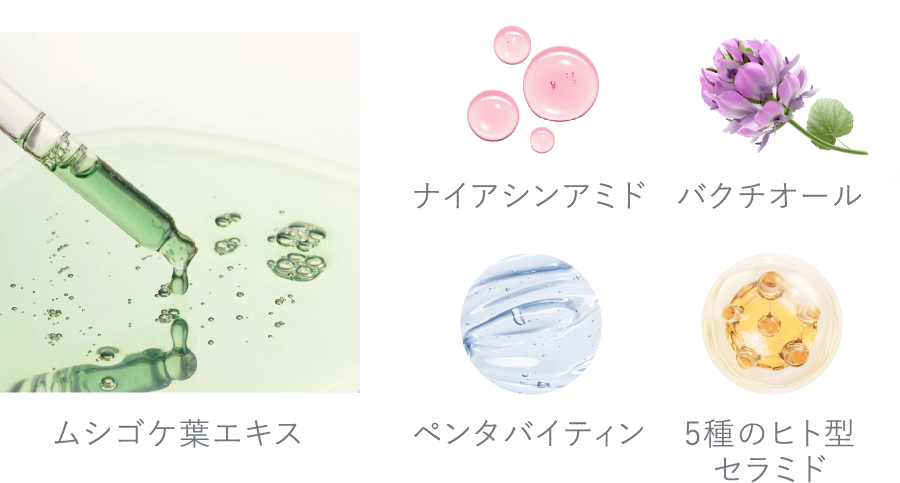 キレイを後押しする、有用成分の力。