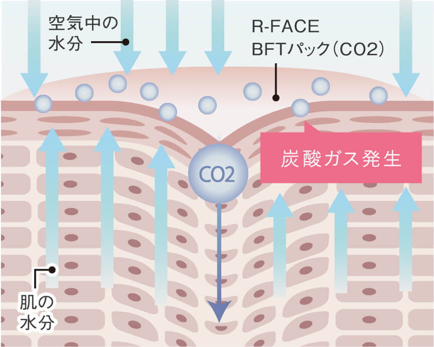 R-FACE BFTパック｜リズム株式会社