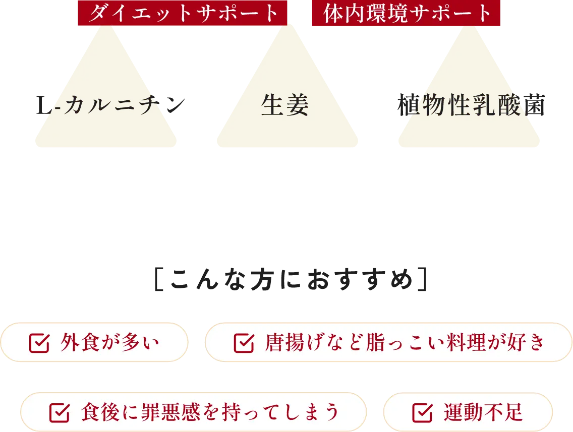 ダイエットサポート 体内環境サポート L-カルニチン 生姜 植物性乳酸菌